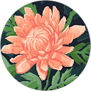 Profilbild von „Nadine Pollmer“